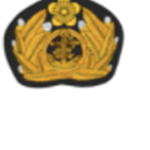 Korean Empire Independence Army[대한제국 독립군]