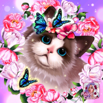 WOOF MEOW!!!