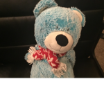 Dogs and bears RULE