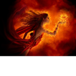 NyceJinxx Fan Group