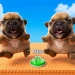 Duo Pibble Tycoon icon