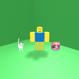 Cat Obby!!!