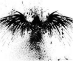 The Elite Dark Mighty Eagles
