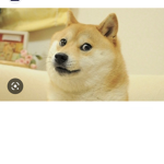 DogeARMYYYYY