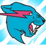 Mr beast team