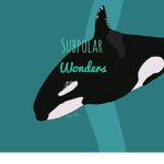 |+* Subpolar Wonders *+|