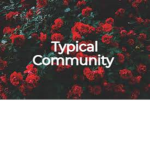 TypicalDevs 101