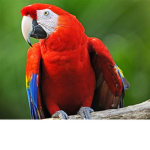 #TEAM BRID FOR EVER