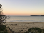 sunnys beach