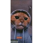 Tyler’s world.R.I.P other account