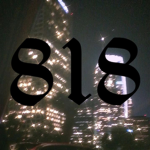 8 1 8