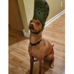 NEW” C0RRUPTS Store