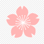Null 1