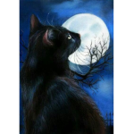 ….Moon Clan….