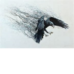 CoF Crows of Freedom