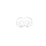 2007ᅠ