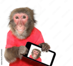 Funny Monkey Game Group