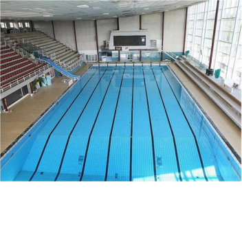 pool less swim
