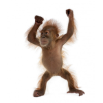 what up man!