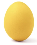 Union of egg