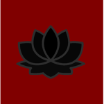 The Absolver Order
