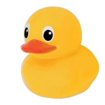 duck squ4d