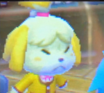 Notflower_yt