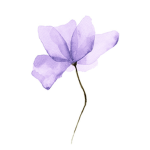 LilyWynGo