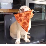PrettyCrazyRose123’s group :D