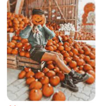 SP00KY_H4RP3R