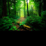 🌸Vivian's Pretty Little Home 🌸