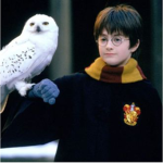 Harry Potter group club