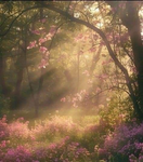 ~{Cherry blossom}~