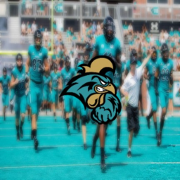 NCFAA // COSTAL