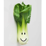 Bok Choy Studios
