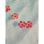 ALOHAXSUMMER