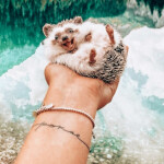 𝚜𝚘𝚖𝚎𝚋𝚘𝚍𝚢 𝚠𝚑𝚘