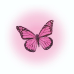 Fairy c2re shop