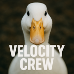 Velocity Crew Group
