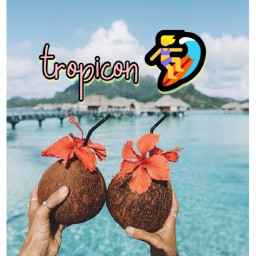 tropicon🏄‍♀️