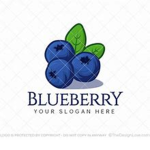 blueberry3136