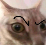 Ariana lol