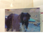 The dog is named bare
