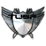 The Ultimate Sword Fighters {tusf}