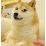 블렉화이트부대