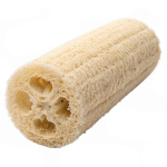 Loofah Development