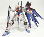 The Gundam Fighters