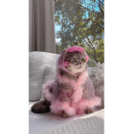 Kitty TI**Y