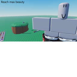Reach Max Beauty