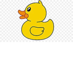 OOFER DUCKS
